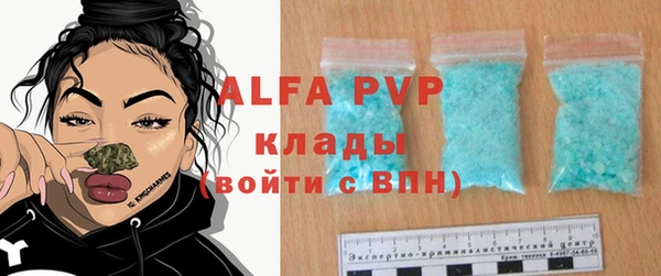 твердый Вязьма