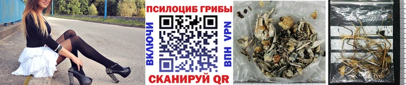 что такое наркотик  Заинск  Псилоцибиновые грибы Psilocybine cubensis 