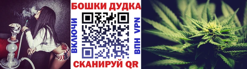 Шишки марихуана SATIVA & INDICA OMG зеркало Заинск как найти закладки